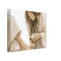 0e7e270c-f84b-4b42-aa74-4af2f4b55a32